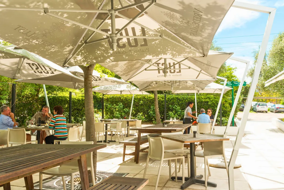 Cantilever Umbrellas 3 cantilever_umbrellas_images.images.1740556838206